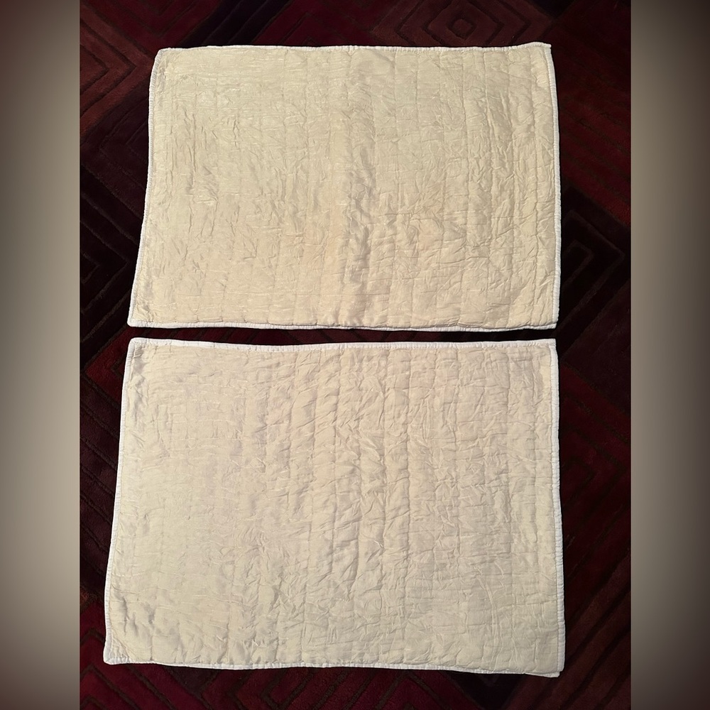 Pottery Barn Standard Pillow Shams-Set of two